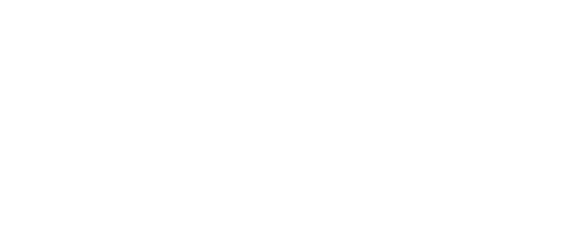 Made in Italy logo