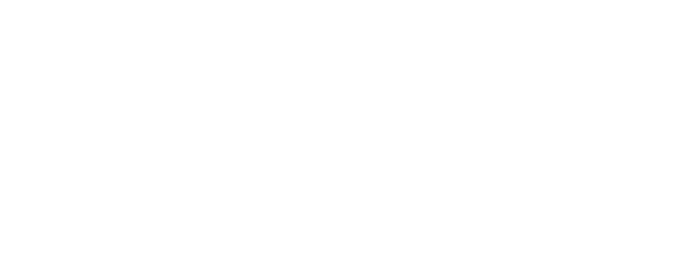 Made in Italy logo