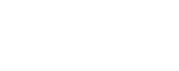 What They Had logo