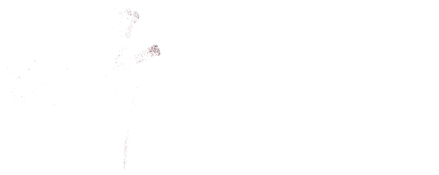 A Special Lady logo
