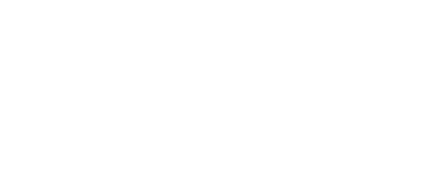 The Classified File logo