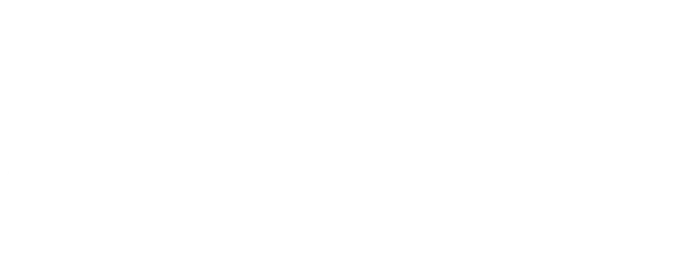 The Classified File logo