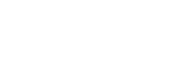 Wild Card logo