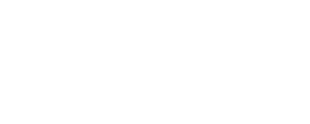Like a Virgin logo