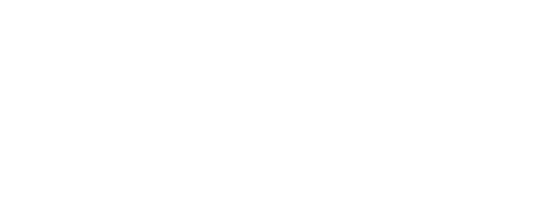 Art Museum by the Zoo logo