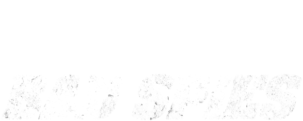 The Spy Who Dumped Me logo