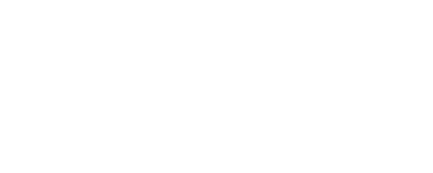 Papillon logo