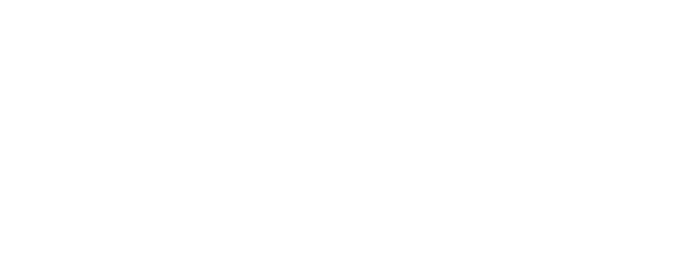 Papillon logo