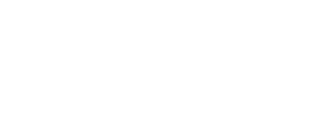 Valentina's Wedding logo
