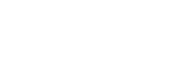 Radin ! logo