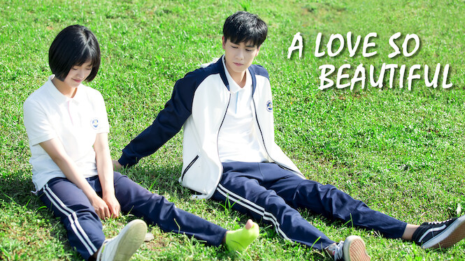 A Love So Beautiful