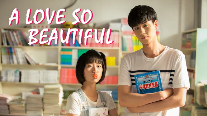 A Love So Beautiful