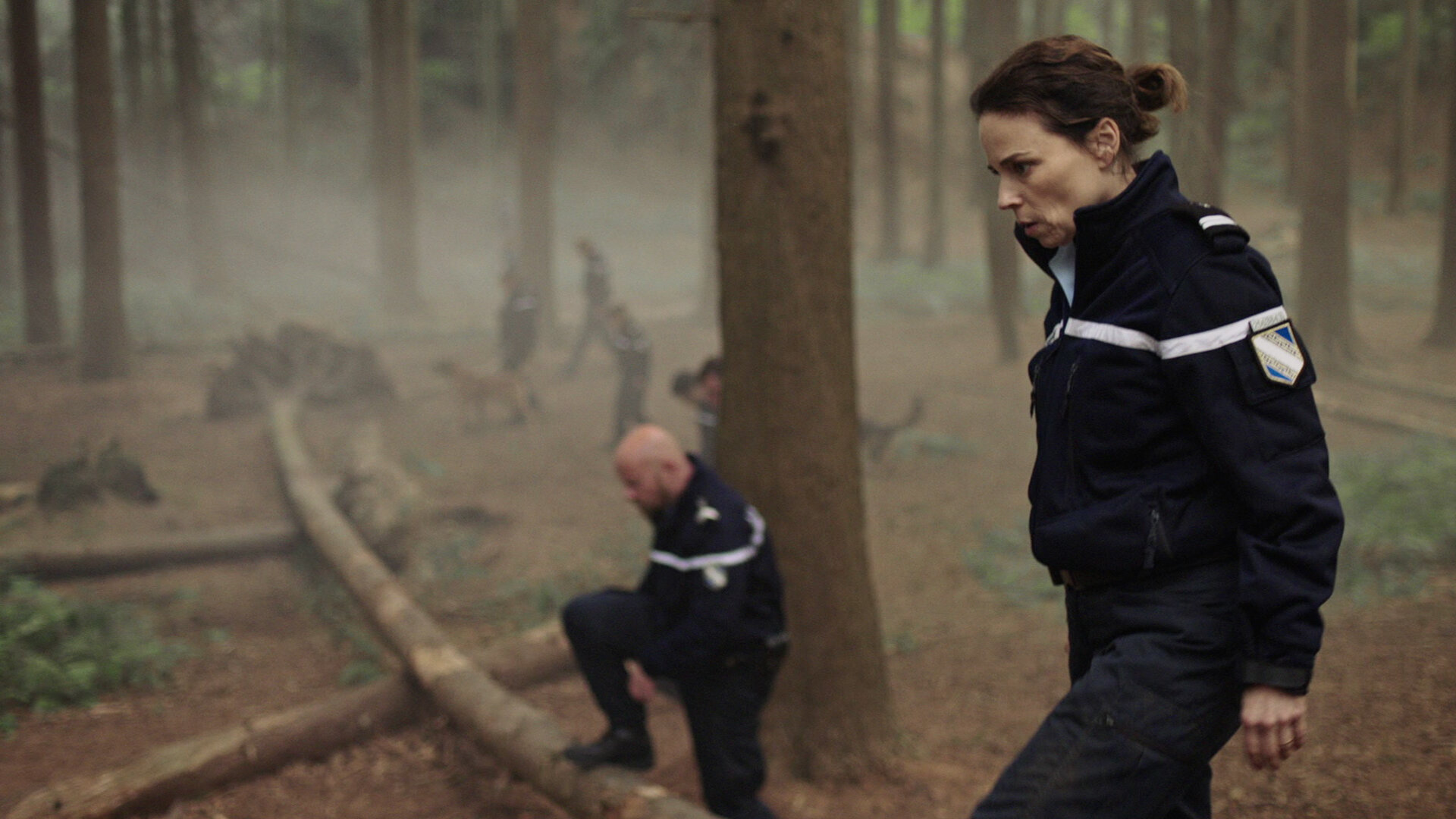 The Forest
