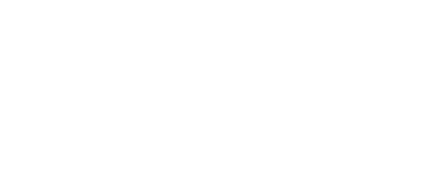 New Amsterdam logo