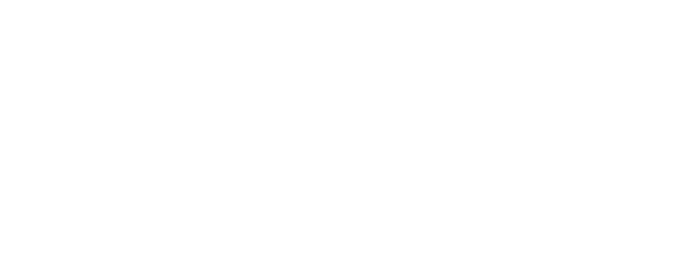New Amsterdam logo