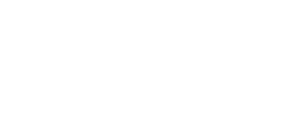 My Brilliant Friend logo