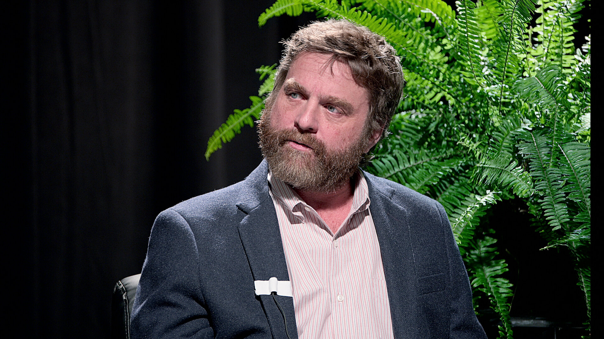 Between Two Ferns: The Movie