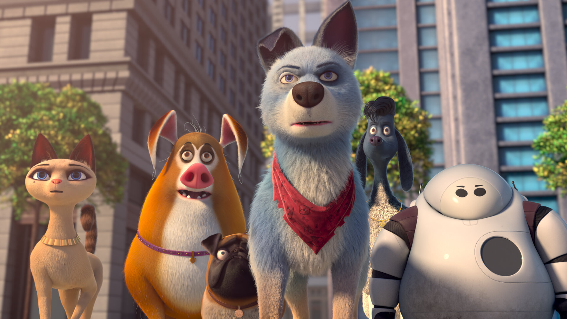 Pets United