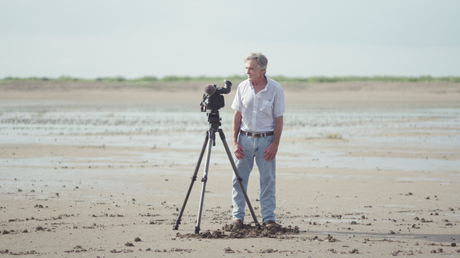 Birders