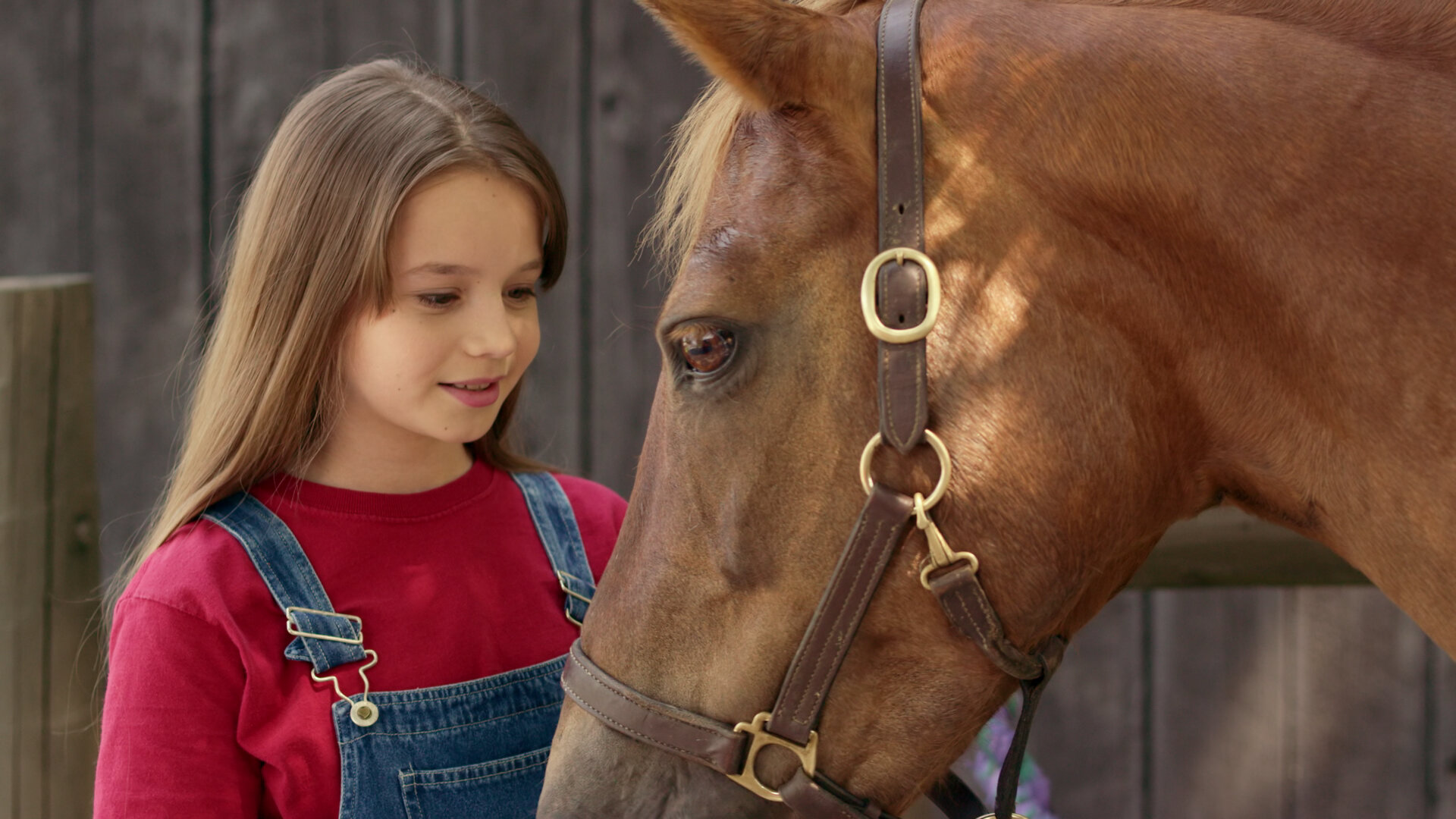 Ponysitters Club