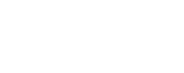 Paradox logo