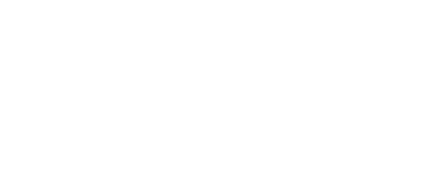 A Flight Diverted logo