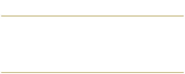 Destination Wedding logo