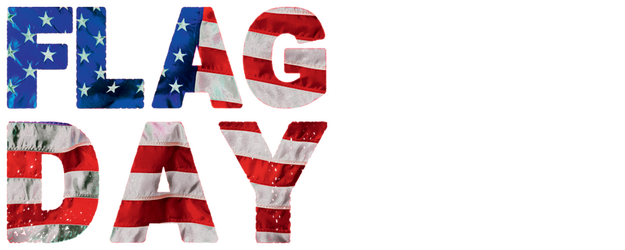 Flag Day logo