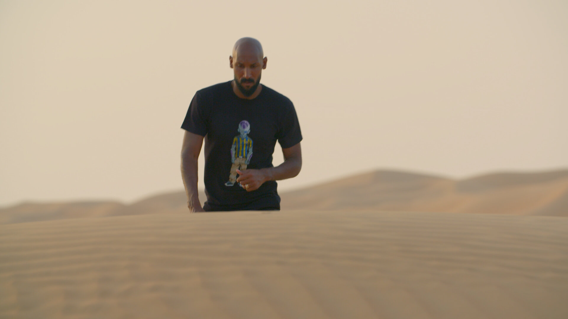 Anelka: Misunderstood