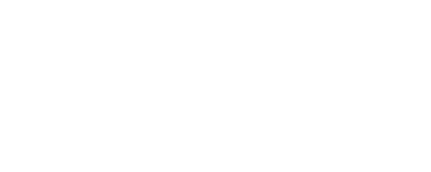 The Perfect Match logo