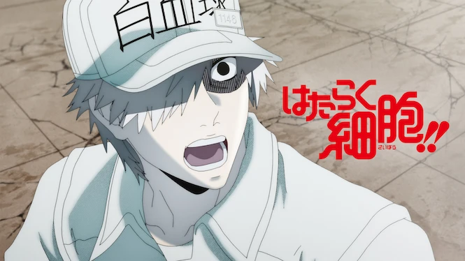 Cells at Work!