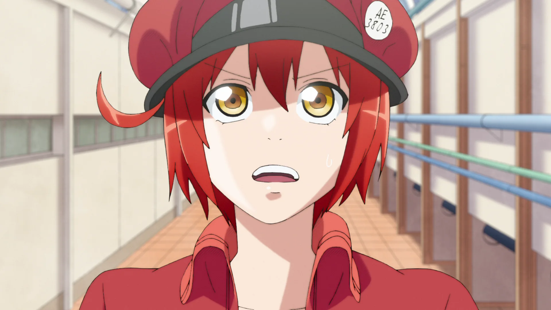 Cells at Work!