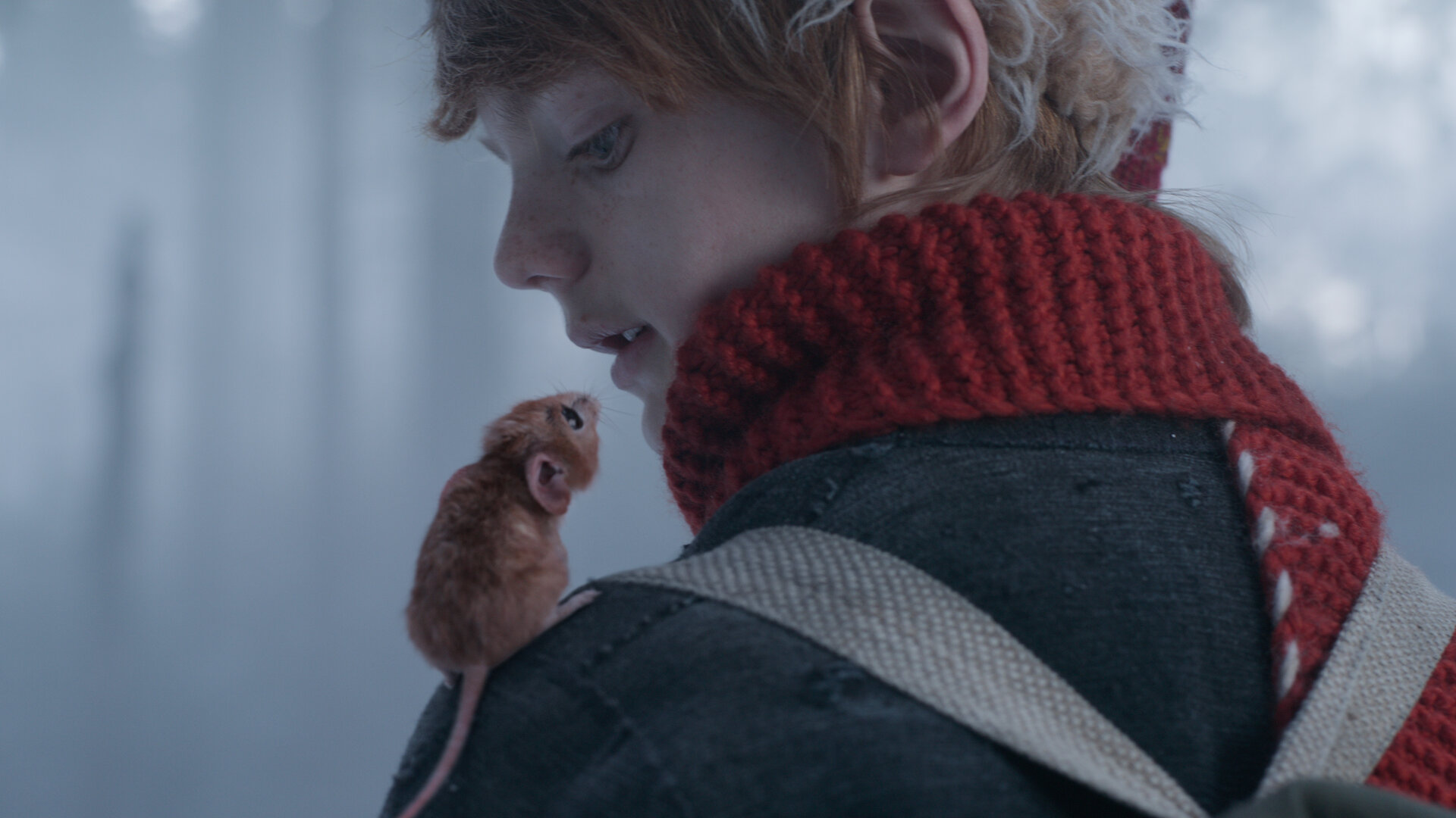 A Boy Called Christmas