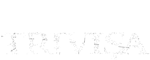 Trivisa logo