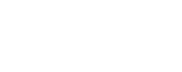 The Witness logo