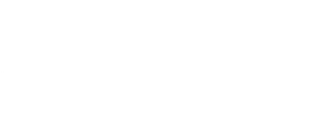 The Witness logo