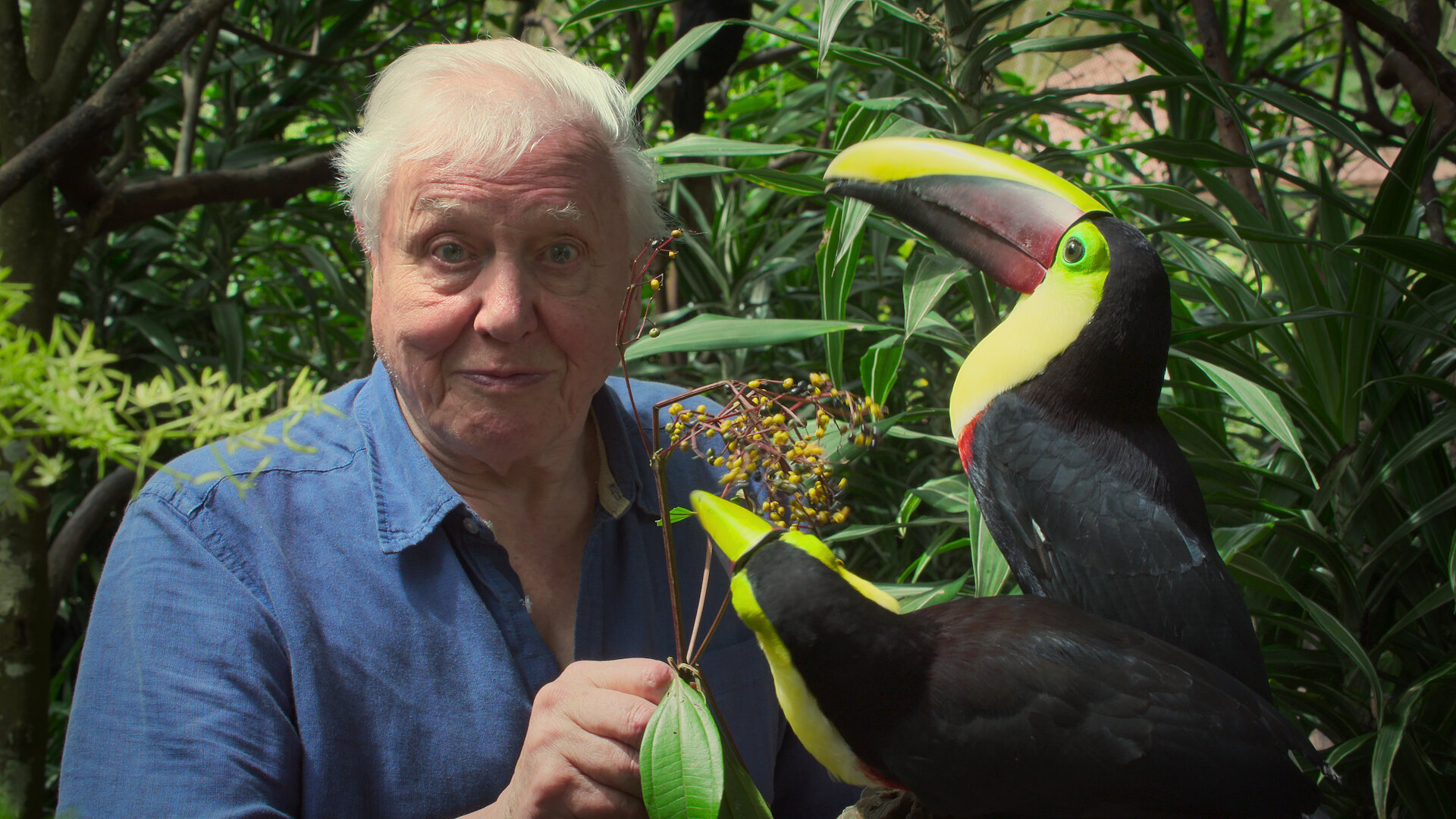 Life in Color with David Attenborough