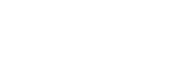 Legend Of The Dragon logo