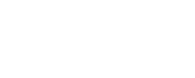 The Flying Tire logo