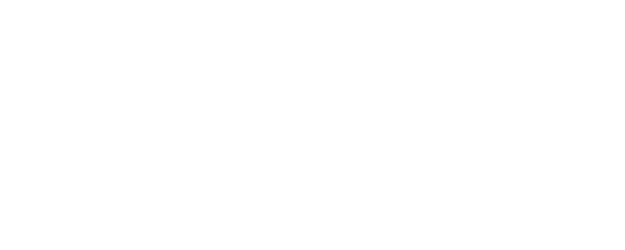 21 Bridges logo
