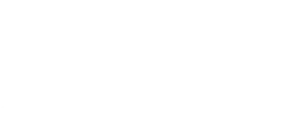 21 Bridges logo