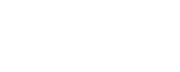 Through the Fire logo
