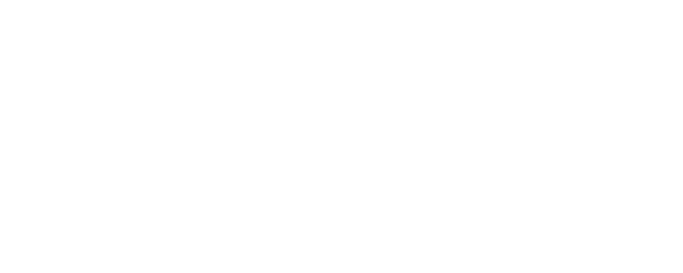 Diego Maradona logo