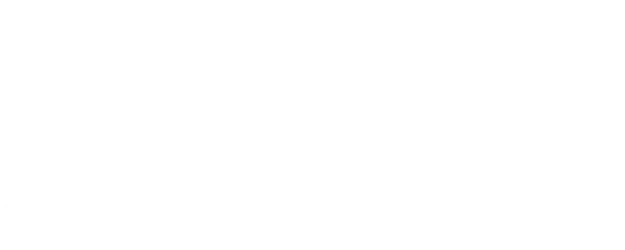 Diego Maradona logo