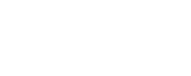 Toolsidas Junior logo