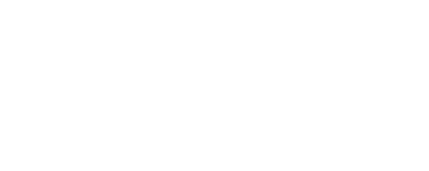 Anna logo