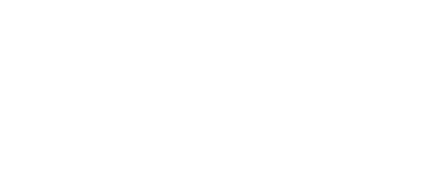 The Collini Case logo