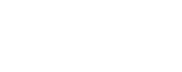 The Collini Case logo