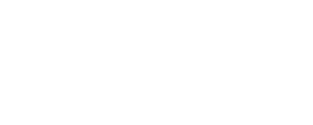 Die Beautiful logo