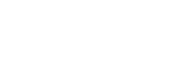 FENGSHUI logo